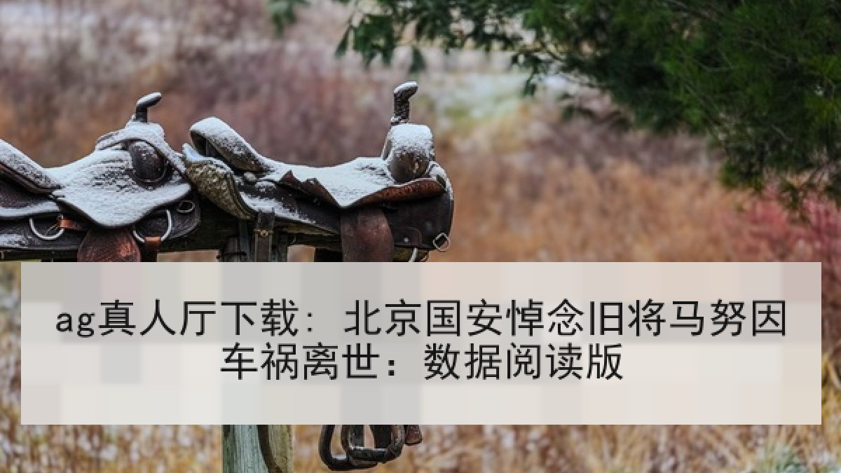 ag真人厅下载: 北京国安悼念旧将马努因车祸离世：数据阅读版