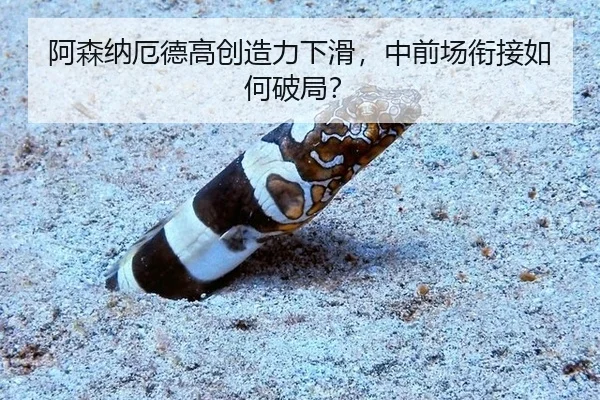 a-sen-na-e-de-gao-chuang-zao-li-xia-hua-zhong-qian-chang-xian-jie-ru-he-po-ju-3-346.jpg