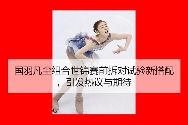 国羽凡尘组合世锦赛前拆对试验新搭配，引发热议与期待