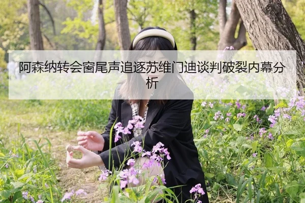 阿森纳转会窗尾声追逐苏维门迪谈判破裂内幕分析