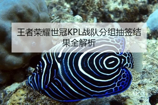 王者荣耀世冠KPL战队分组抽签结果全解析