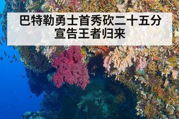 巴特勒勇士首秀砍二十五分宣告王者归来
